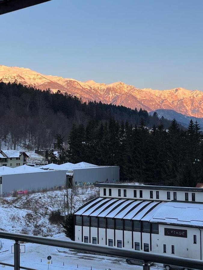 Coca Apart Mountain View Sinaia Dış mekan fotoğraf