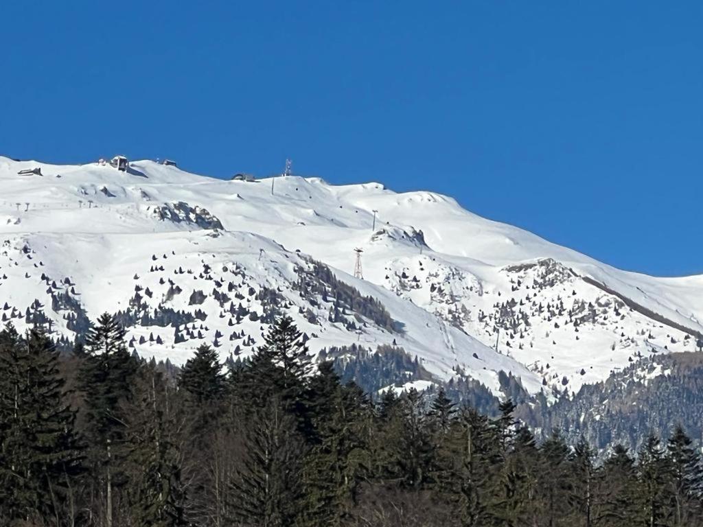 Coca Apart Mountain View Sinaia Dış mekan fotoğraf