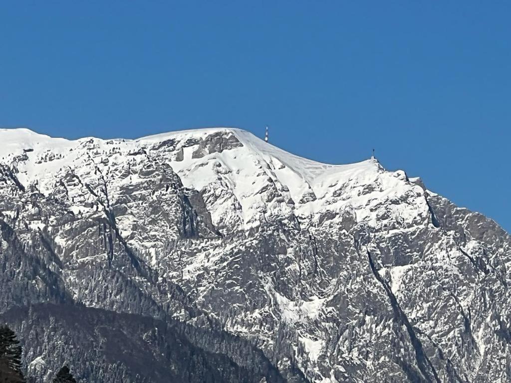 Coca Apart Mountain View Sinaia Dış mekan fotoğraf