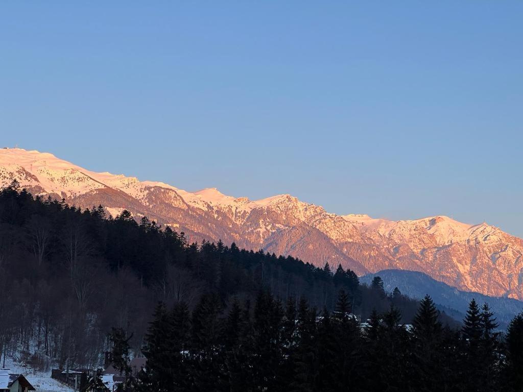 Coca Apart Mountain View Sinaia Dış mekan fotoğraf