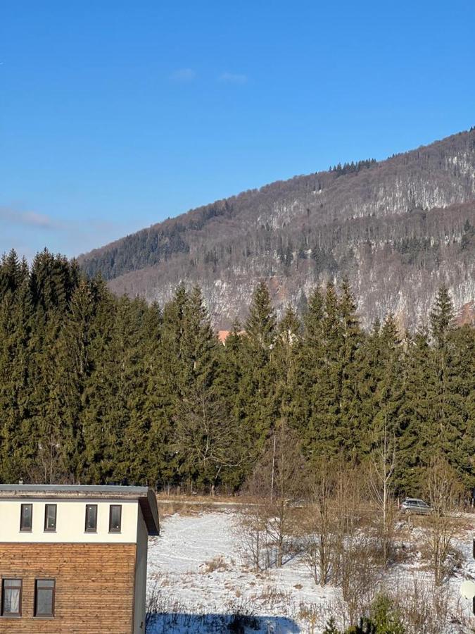 Coca Apart Mountain View Sinaia Dış mekan fotoğraf