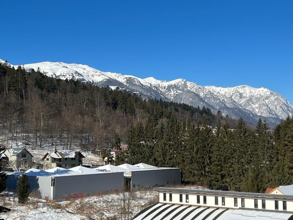 Coca Apart Mountain View Sinaia Dış mekan fotoğraf